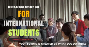 Seoul National University: A Global Student Experience
