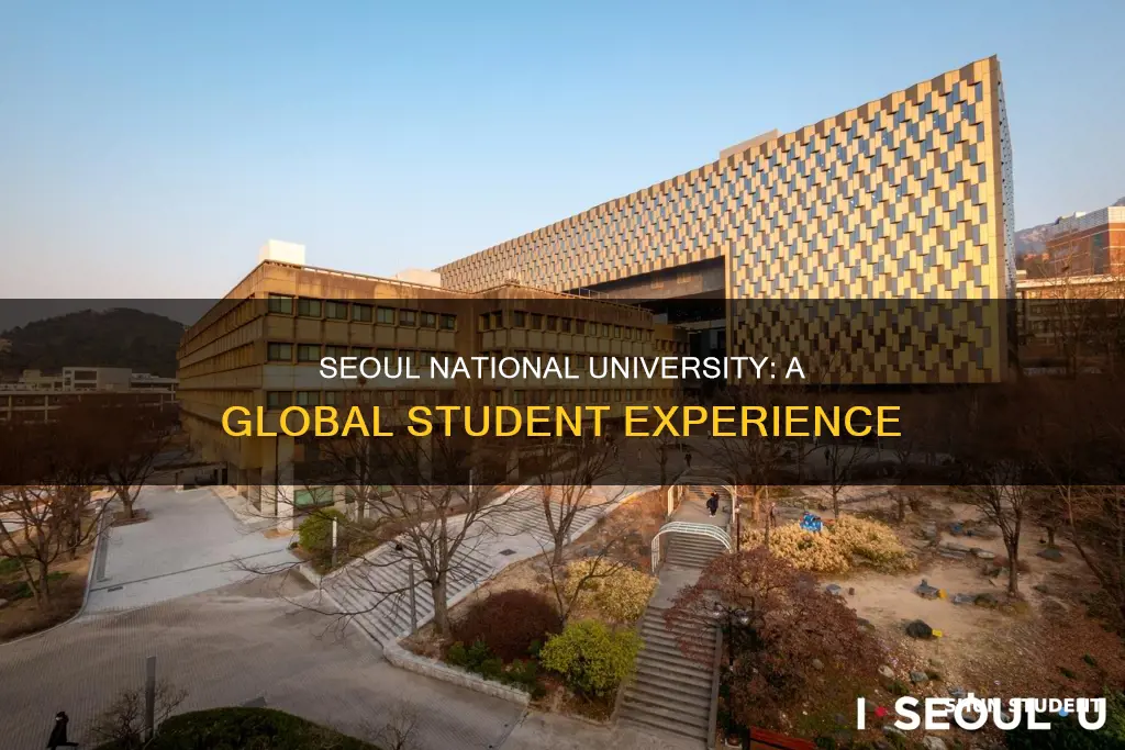 is seoul national university good for international students