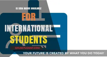 International Students: Can They Get a SIDA Badge?