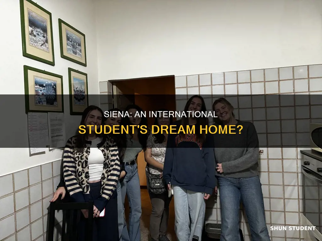 is siena good for living as an international student