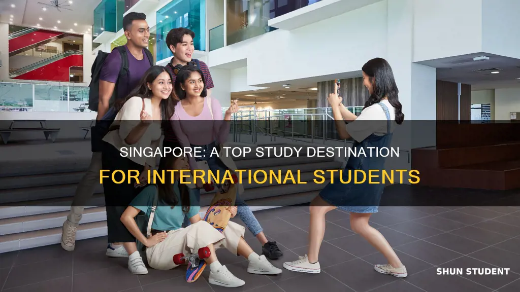 is singapore good for international students