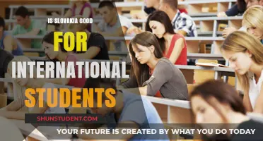 Slovakia: A Smart Choice for International Students?