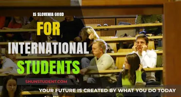 Slovenia: A Top Choice for International Students?