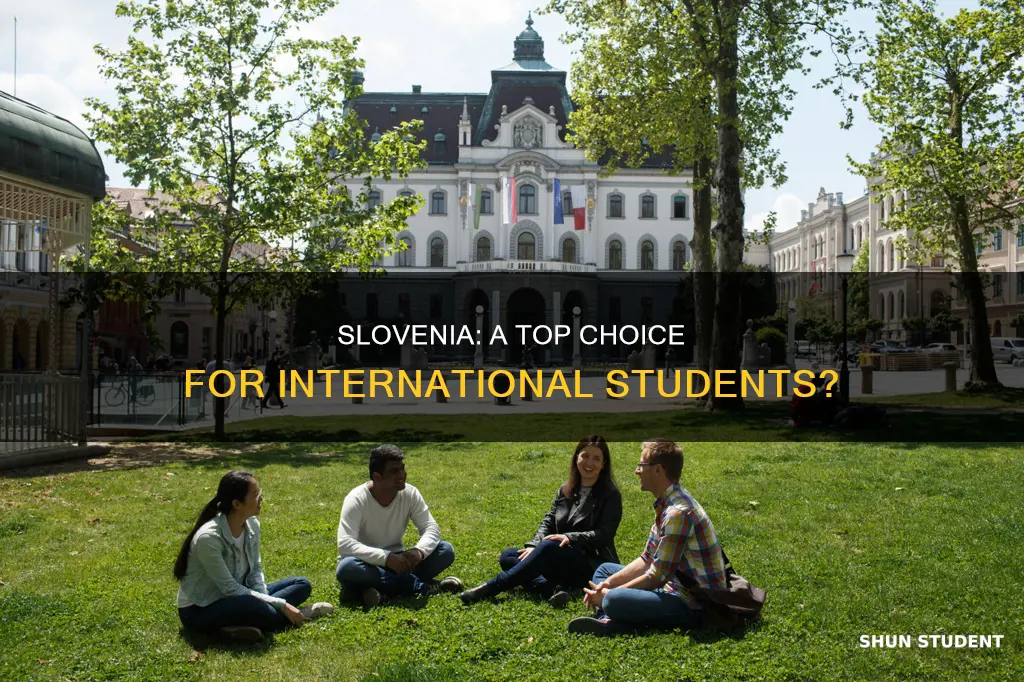 is slovenia good for international students