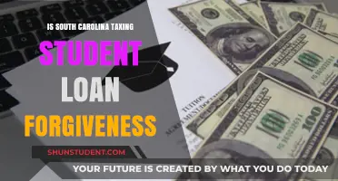 South Carolina's Tax Policy on Student Loan Forgiveness Explained