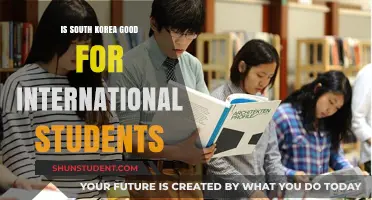 South Korea: A Haven for International Students?