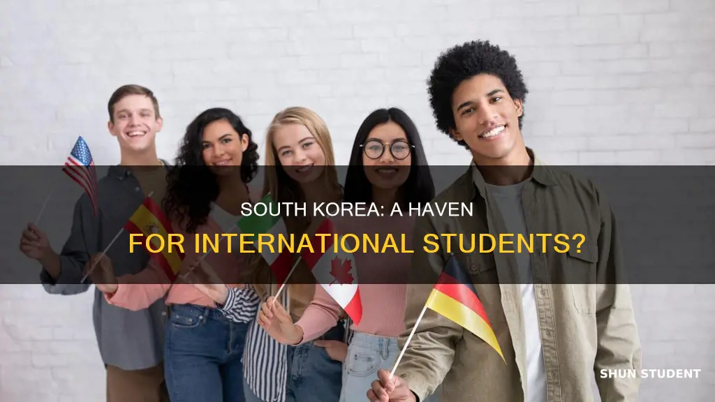 is south korea good for international students