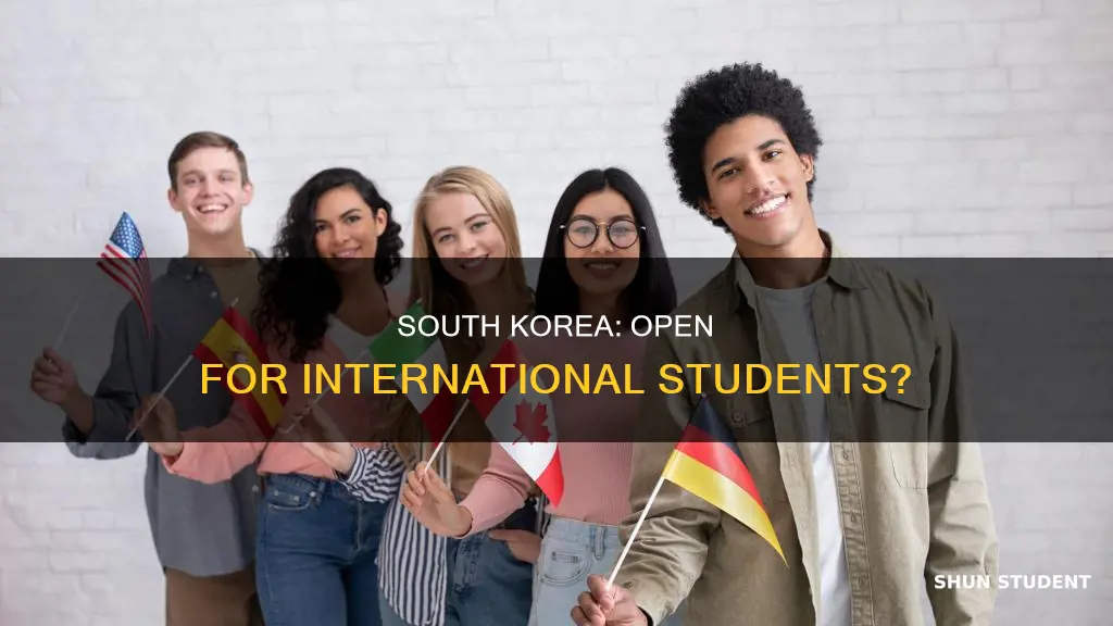 is south korea open for international students