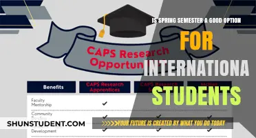 Spring Semester: A Smart Choice for International Students?