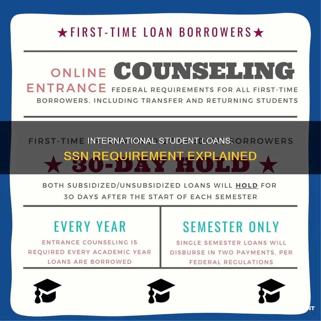 is ssn required for international student loan