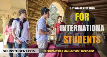 Stanford's Need-Blind Policy: Does It Include International Students?