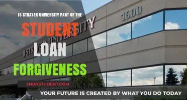 Strayer University and Student Loan Forgiveness: What's the Deal?