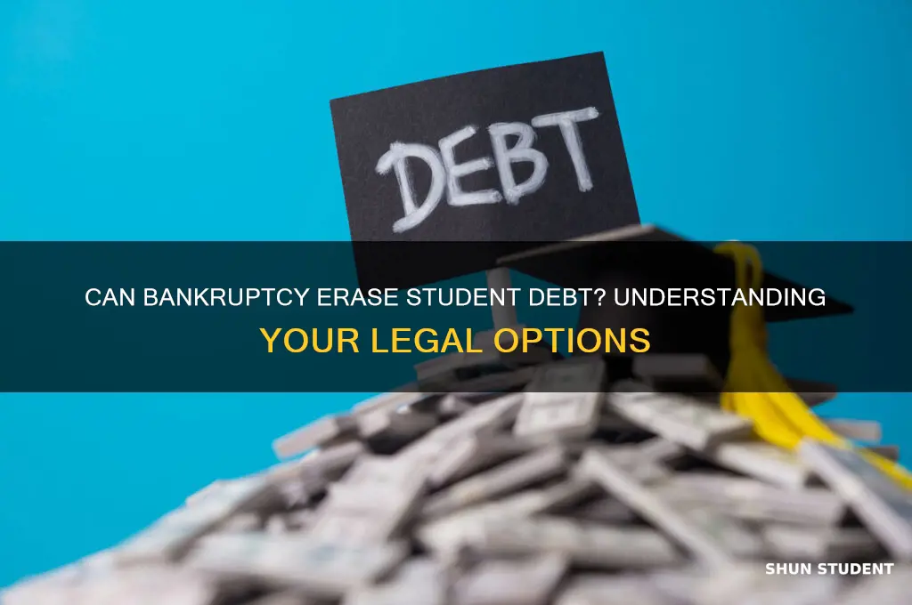 is student debt forgiven with bankruptcy