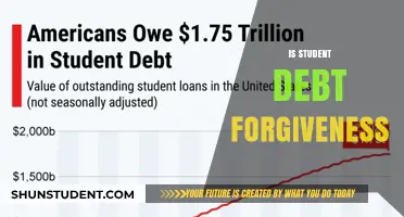 Is Student Debt Forgiveness the Solution to America's Education Crisis?