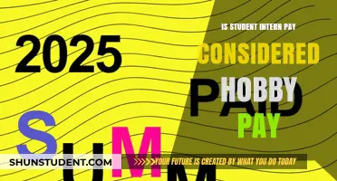 Internships: Student Pay vs. Hobby Classification