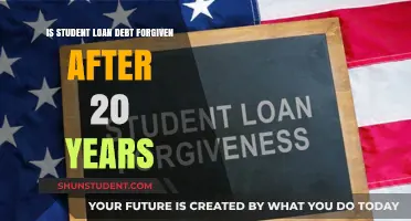 Will Your Student Loan Debt Disappear After 20 Years?