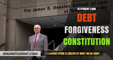 Is Student Loan Debt Forgiveness Constitutional? Legal Analysis and Implications
