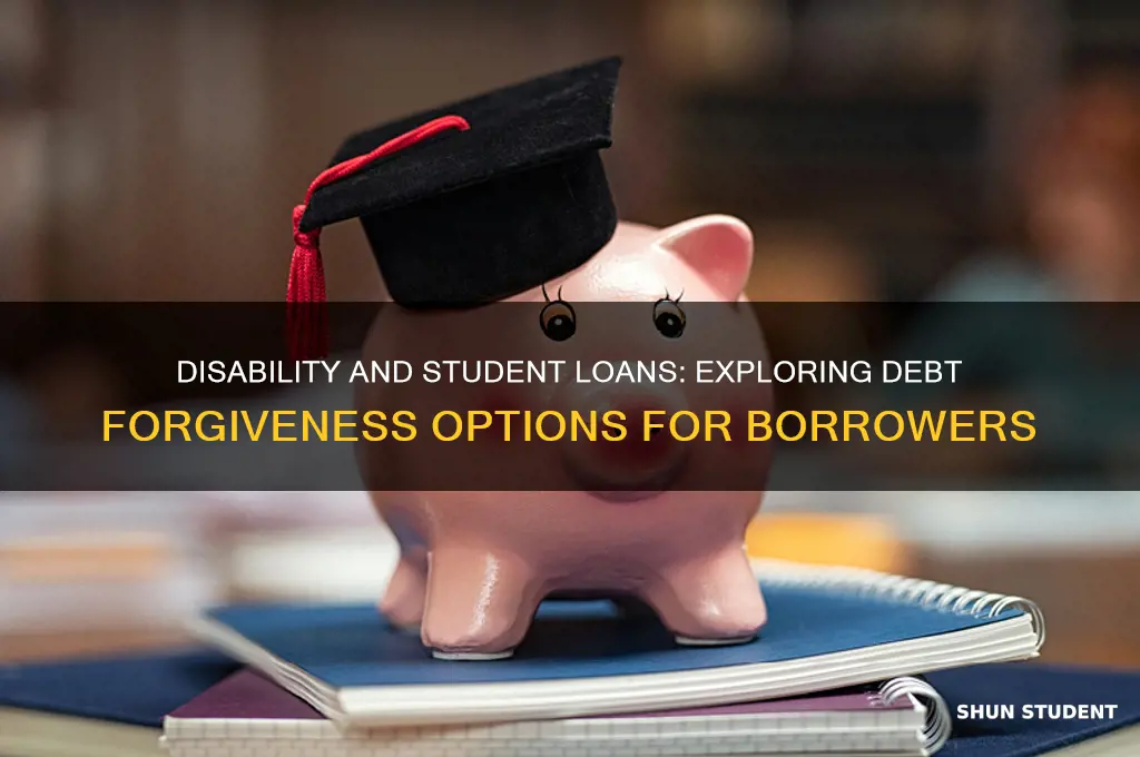is student loan debt forgiveness if you are disabled