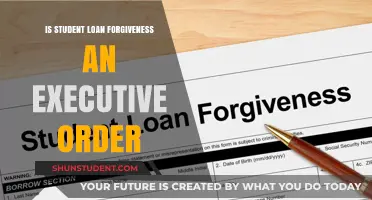 Is Student Loan Forgiveness Possible Through Executive Order?
