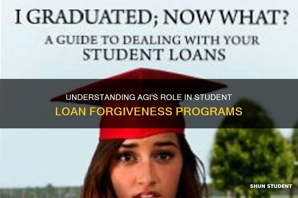 is student loan forgiveness based on agi