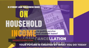 Student Loan Forgiveness: Does Household Income Determine Eligibility?