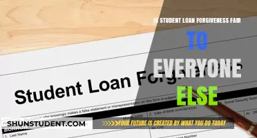 Is Student Loan Forgiveness Fair? Exploring Equity and Public Sentiment