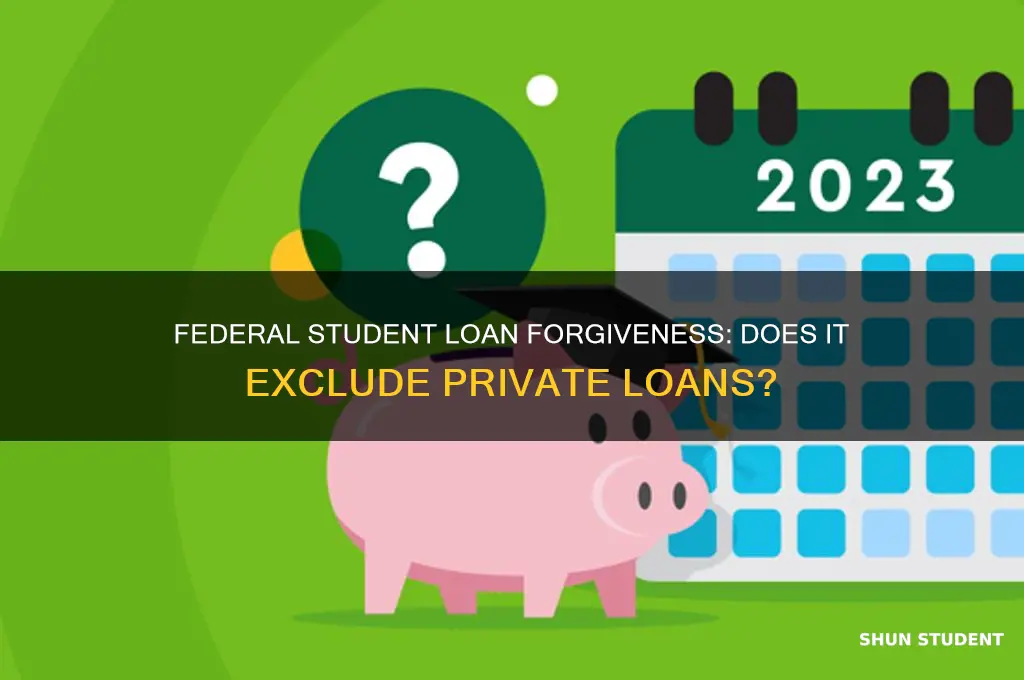 is student loan forgiveness for federal loans only