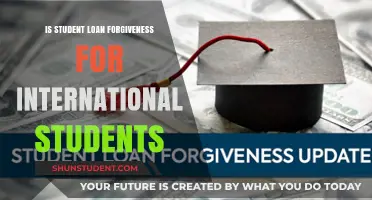 International Student Loan Forgiveness: What's the Reality?