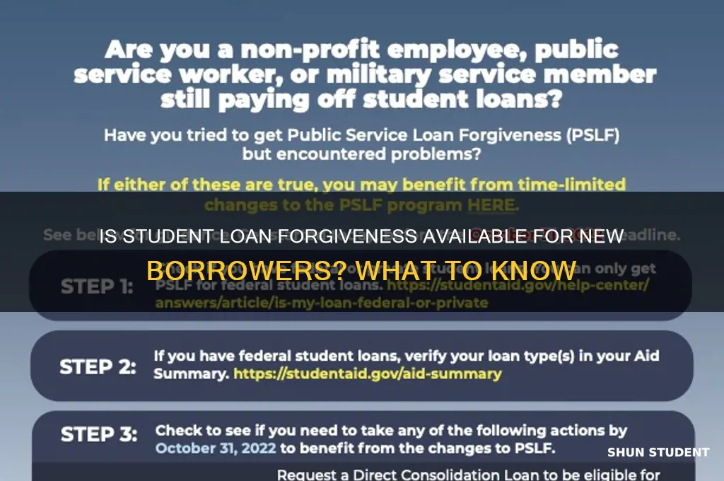 is student loan forgiveness for new loans