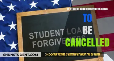Will Student Loan Forgiveness Survive? Cancellation Concerns Explained