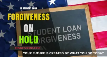 Student Loan Forgiveness Halted: What Borrowers Need to Know Now