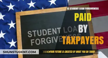 Who Bears the Cost of Student Loan Forgiveness? Taxpayers or Not?