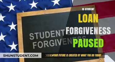 Is Student Loan Forgiveness Paused? Updates and What Borrowers Need to Know