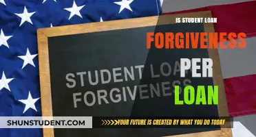 Understanding Student Loan Forgiveness: Is It Applied Per Loan?