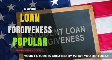 Is Student Loan Forgiveness Popular? Public Opinion and Policy Debates