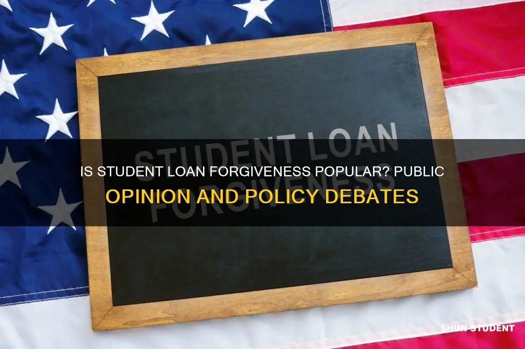 is student loan forgiveness popular