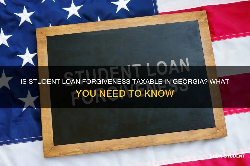 is student loan forgiveness taxable in georgia