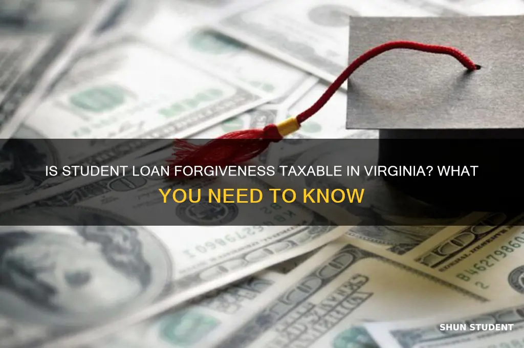 is student loan forgiveness taxable in virginia