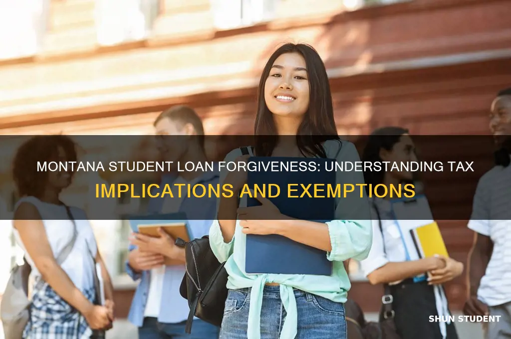 is student loan forgiveness taxed in montana