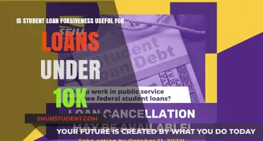 Is Student Loan Forgiveness Worth It for Smaller Balances?