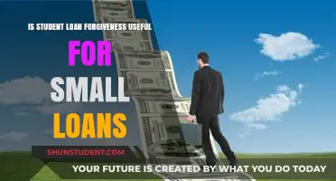 Is Student Loan Forgiveness Beneficial for Borrowers with Small Loans?