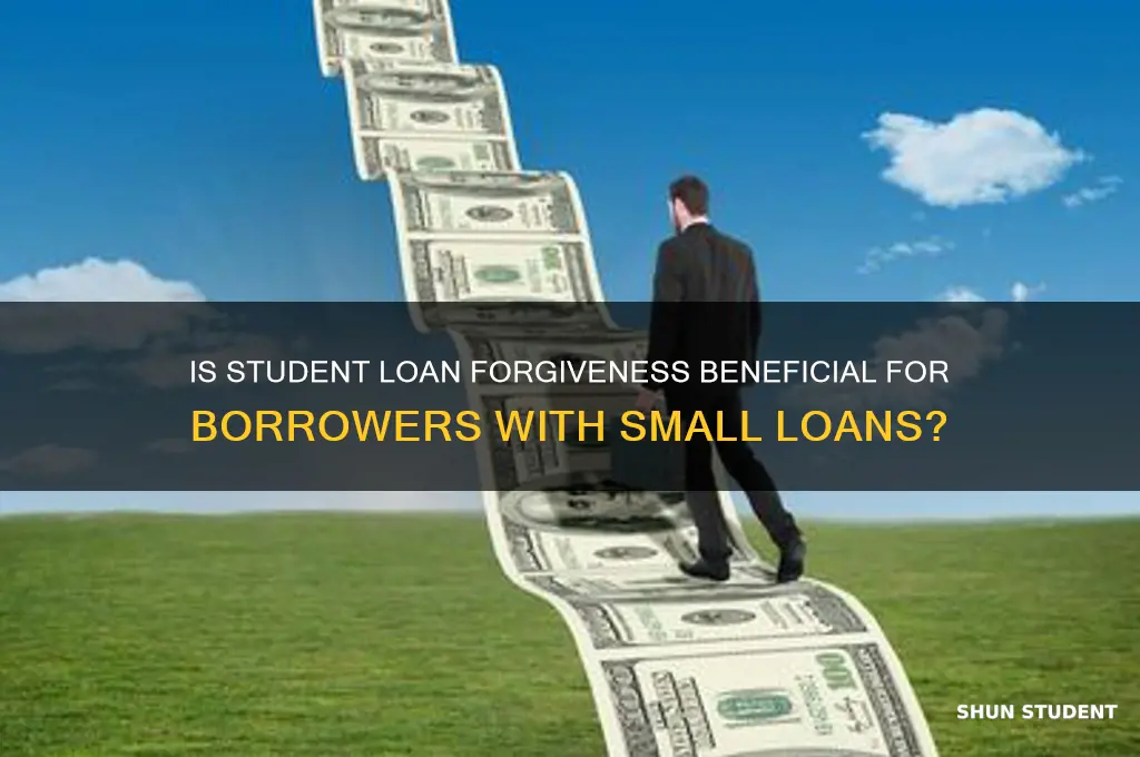 is student loan forgiveness useful for small loans