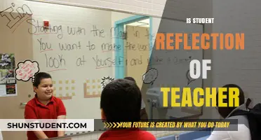 Do Students Mirror Teachers? Exploring the Reflection Phenomenon in Education