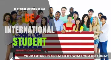 How International Students Study in the US