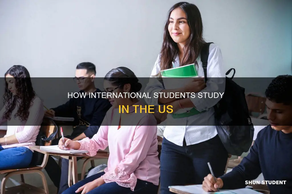 is student studying us can be international student