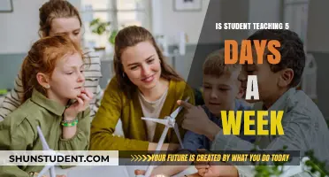 Is Student Teaching 5 Days a Week Sustainable for Educators?