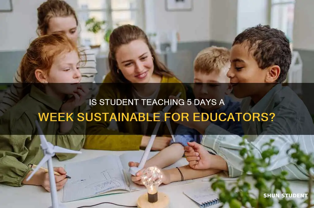 is student teaching 5 days a week