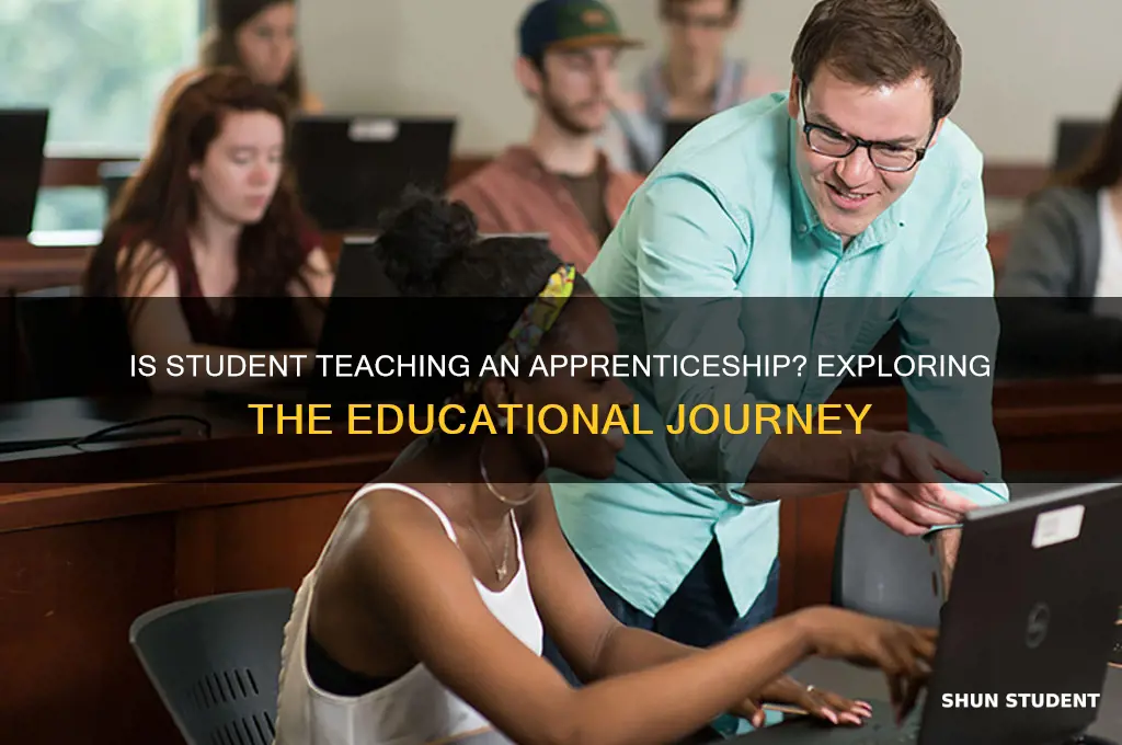 is student teaching an apprenticeship