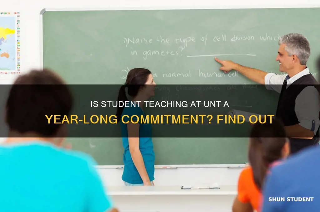 is student teaching at unt a year long