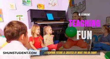 Is Student Teaching Fun? Exploring the Joys and Challenges of the Classroom